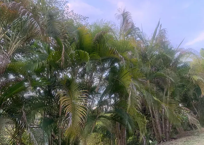 Areca Leisure Centre