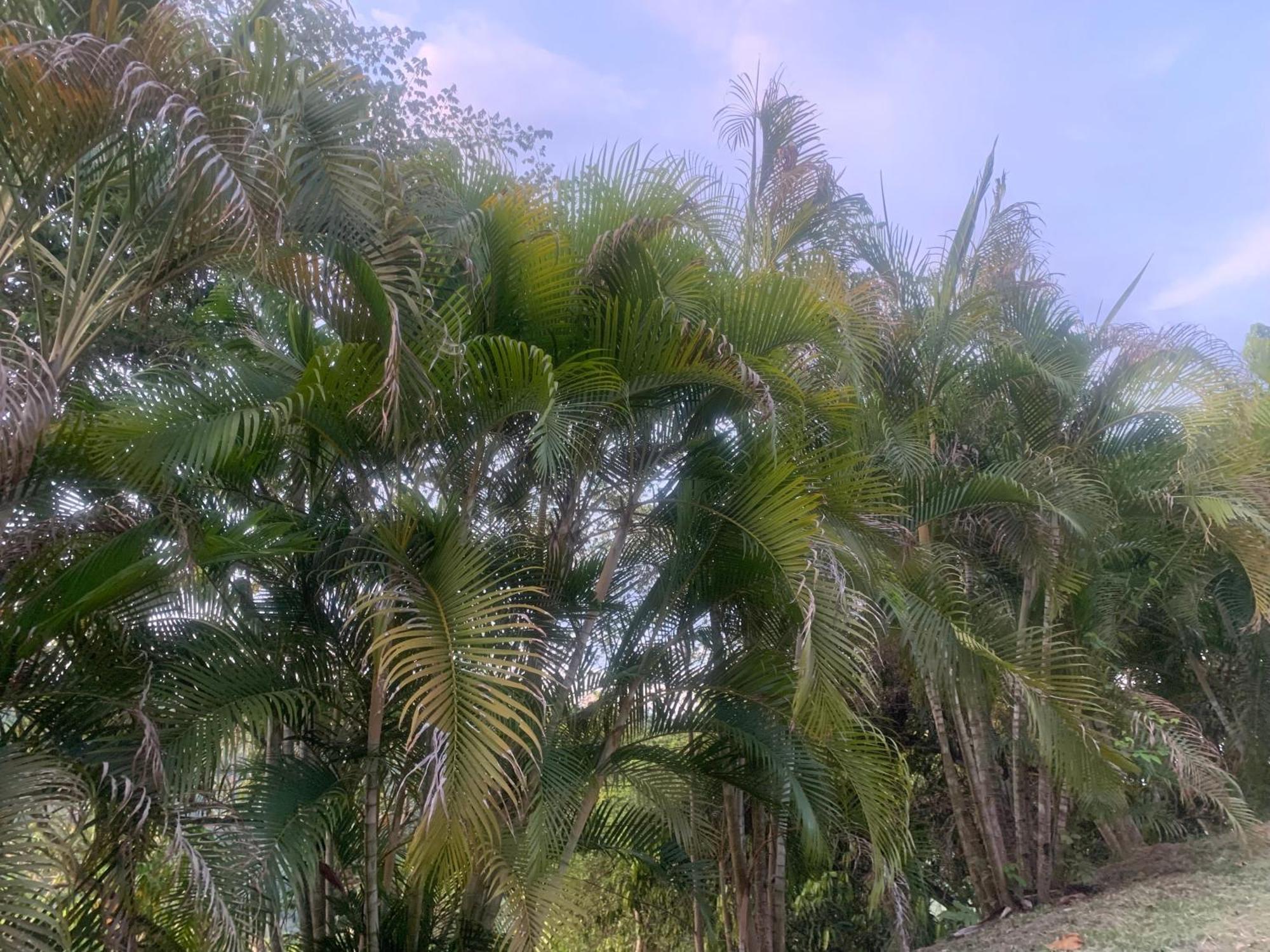 Areca Leisure Centre Chalet *