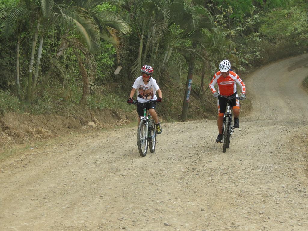 Areca Leisure Centre Chalet